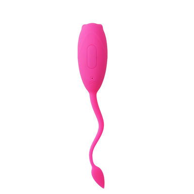10 Tốc độ Rung Đồ Chơi Tình Dục Cho Phụ Nữ Trứng Nhảy Điều Khiển Từ Xa IPX7